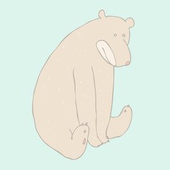 cute bear  sitting, vector illustration, hand drawn