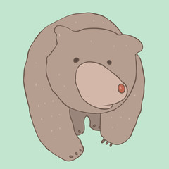 cute bear character, vector illustration, hand drawn