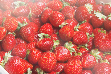 Fresh strawberries on wood background