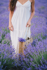Beautiful young woman posing in a lavender field