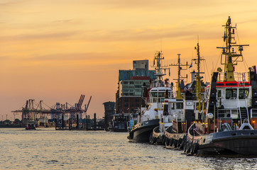 Fototapeta premium Schlepper im Hafen von Hamburg bei Sonnenuntergang