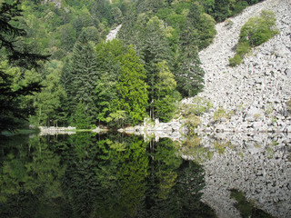 Looking-glass lake in the Vosges