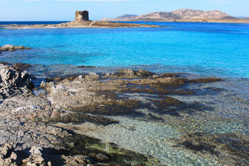 Beautiful La Pelosa beach in Sardinia, Italy