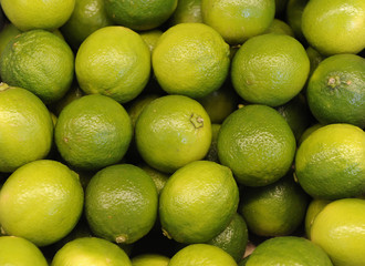 lime citrus fruit