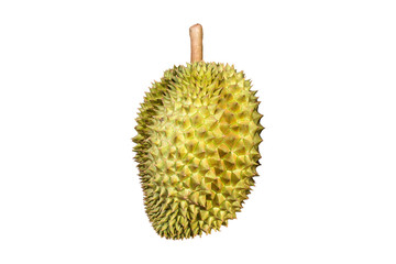 durian fruits on white background