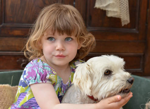 dans le panier du chien