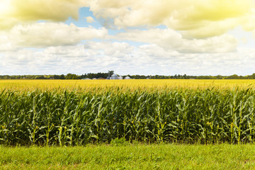 American Farmland With Blue Cloudy Sky