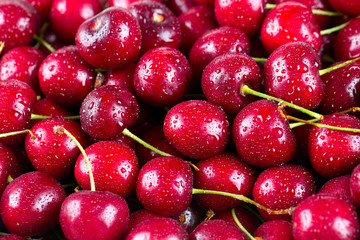 wet cherries background