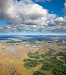 Plain moorland, top view