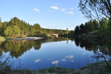 Obraz premium May forest landscape of the river.