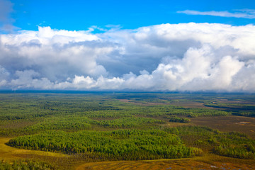 Forest under clouds, top view
