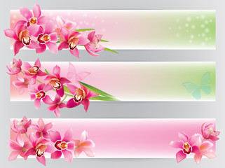 Horizontal banners with orchids