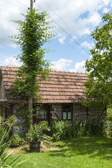 Tiny House