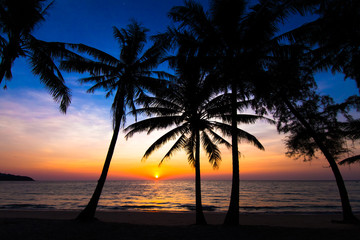 Fototapeta na wymiar sunset on the beach. Palm trees silhouette on sunset tropical b