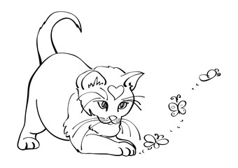 Cute white cat playing with butterflies