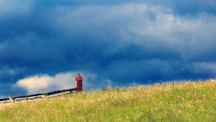 Płot  i Sroka © Wojciech Lisiński