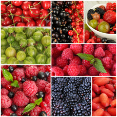 Collage of berries close-up