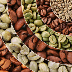 Collage of different coffee beans