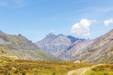 Sentiero di montagna