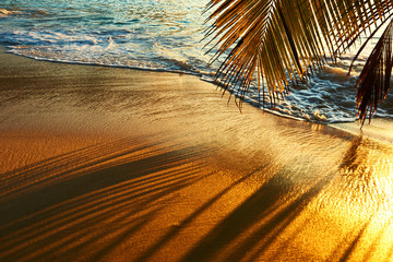 Fototapeta na wymiar Beautiful sunset at Seychelles beach with palm tree shadow