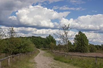 Fototapeta premium Wanderweg Wilseder Berg