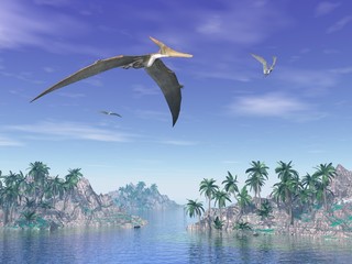 Pteranodon birds  - 3D render © Elenarts