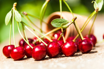 bunch  cherries spilled from