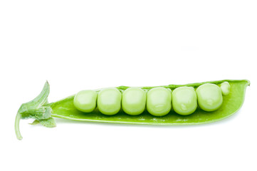 open green peas pod
