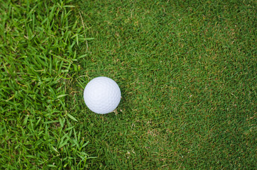 golf ball on green