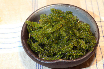 sea grapes (Caulerpa lentillifera) in Japan