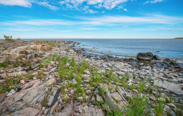 Fototapeta na wymiar Coastline with grass between the stones