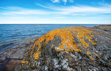 Orange moss or lava on a rock
