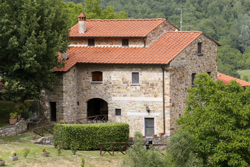 Fototapeta na wymiar rural landscape in toscana