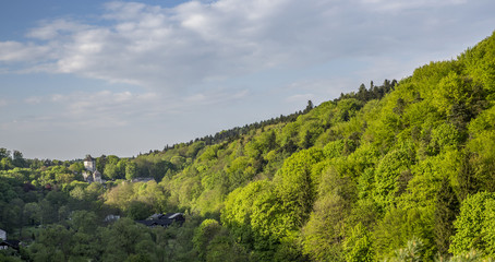 ogólny widok z góry na dolinę © anix