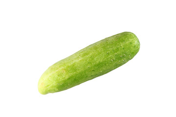 fresh cucumber of isolated.