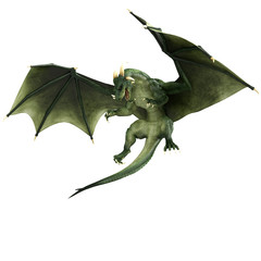 Obraz premium green dragon air stopped