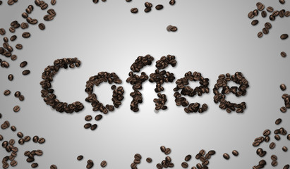 Coffee Bean on White Paper