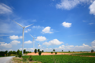 Wind Turbine Fields with Blue Sky and Cloudscape