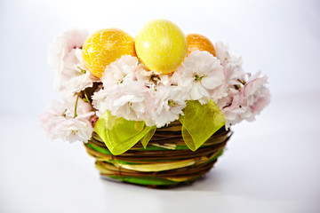 Ostereier im Kirschblütennest