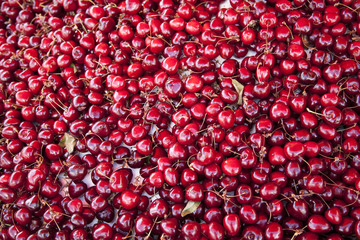 a lot of red cherries