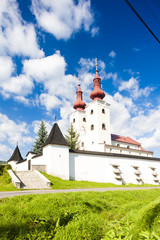 Fototapeta premium fortified church of All Saints, Divin, Slovakia