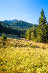 Fototapeta na wymiar Nizke Tatry (Low Tatras), Slovakia