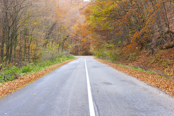 empty road in autumn, Slovakia