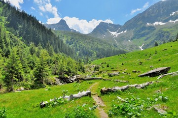 Fototapeta na wymiar Mountain paths and majestic views of the Carpathians