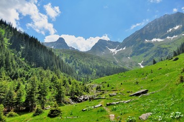 Fototapeta na wymiar Mountain path and beautiful view of Carpathians