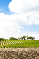 vineyard with windmill near Ribagnac, Dordogne Department, Aquit