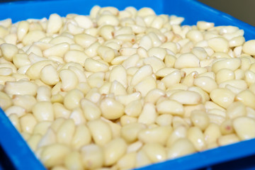 Peeled Garlic