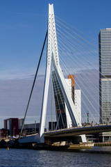 rotterdam