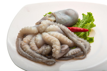 Raw octopus