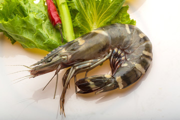 Tiger prawn